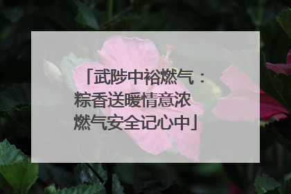 武陟中裕燃气：粽香送暖情意浓 燃气安全记心中