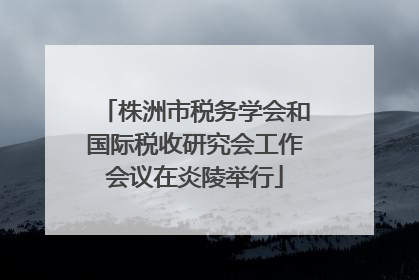 株洲市税务学会和国际税收研究会工作会议在炎陵举行
