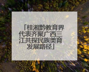 桂湘黔教育界代表齐聚广西三江共探民族美育发展路径