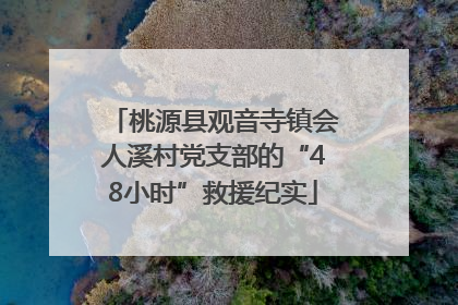 桃源县观音寺镇会人溪村党支部的“48小时”救援纪实
