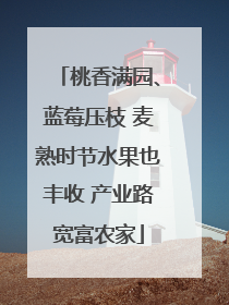桃香满园、蓝莓压枝 麦熟时节水果也丰收 产业路宽富农家