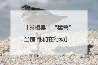桑植县：“猛兽”当前 他们在行动