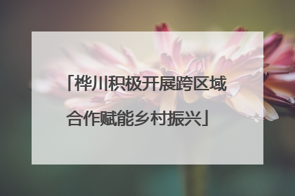桦川积极开展跨区域合作赋能乡村振兴