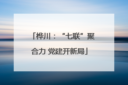 桦川：“七联”聚合力 党建开新局