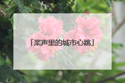 桨声里的城市心跳