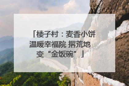 楼子村：麦香小饼温暖幸福院 撂荒地变“金饭碗”