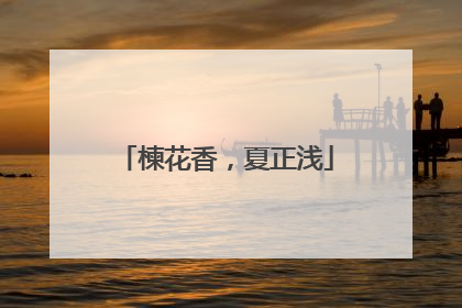 楝花香，夏正浅