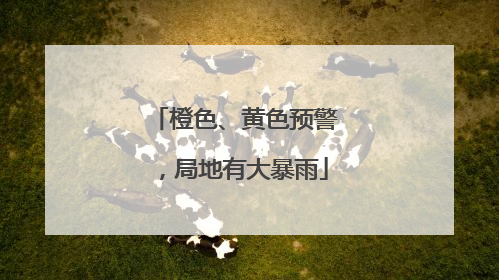 橙色、黄色预警，局地有大暴雨
