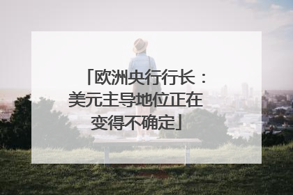 欧洲央行行长：美元主导地位正在变得不确定
