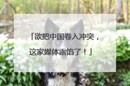 欲把中国卷入冲突，这家媒体露馅了！