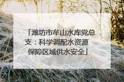 潍坊市牟山水库党总支：科学调配水资源 保障区域供水安全