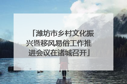 潍坊市乡村文化振兴暨移风易俗工作推进会议在诸城召开