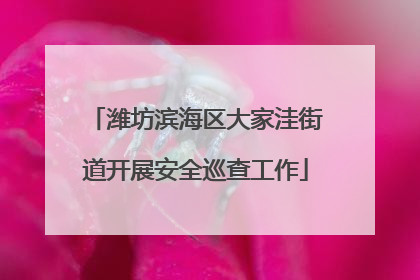 潍坊滨海区大家洼街道开展安全巡查工作