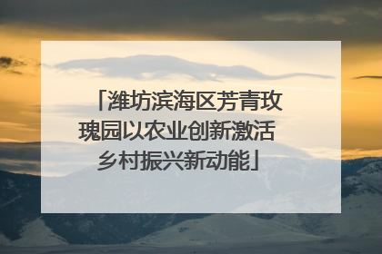 潍坊滨海区芳青玫瑰园以农业创新激活乡村振兴新动能