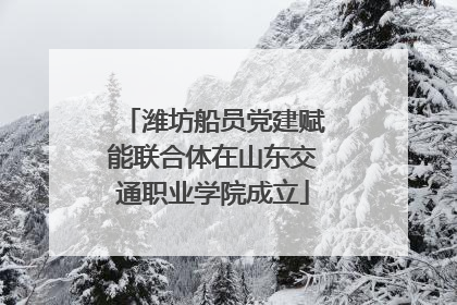 潍坊船员党建赋能联合体在山东交通职业学院成立
