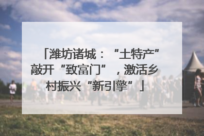 潍坊诸城：“土特产”敲开“致富门”，激活乡村振兴“新引擎”