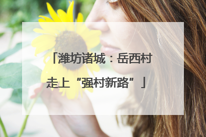 潍坊诸城：岳西村走上“强村新路”