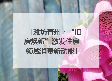 潍坊青州：“旧房焕新”激发住房领域消费新动能