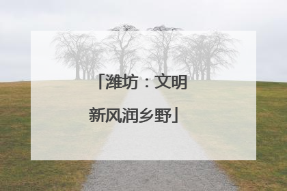 潍坊：文明新风润乡野