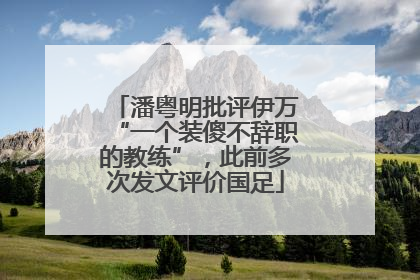 潘粤明批评伊万“一个装傻不辞职的教练”，此前多次发文评价国足