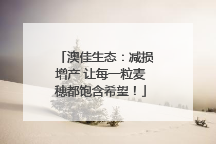 澳佳生态：减损增产 让每一粒麦穗都饱含希望！
