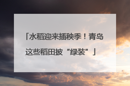 水稻迎来插秧季！青岛这些稻田披“绿装”