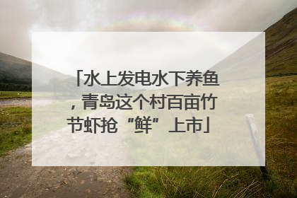 水上发电水下养鱼，青岛这个村百亩竹节虾抢“鲜”上市