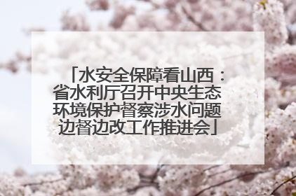 水安全保障看山西：省水利厅召开中央生态环境保护督察涉水问题边督边改工作推进会
