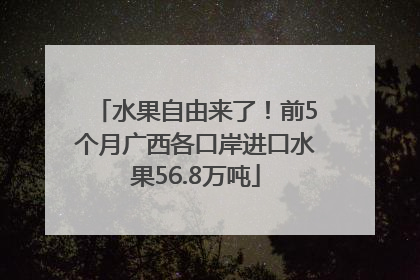 水果自由来了！前5个月广西各口岸进口水果56.8万吨