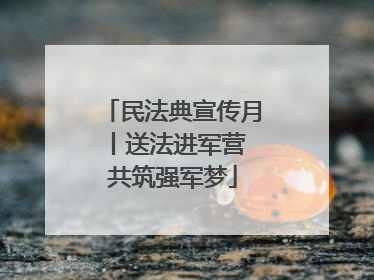 民法典宣传月丨送法进军营 共筑强军梦