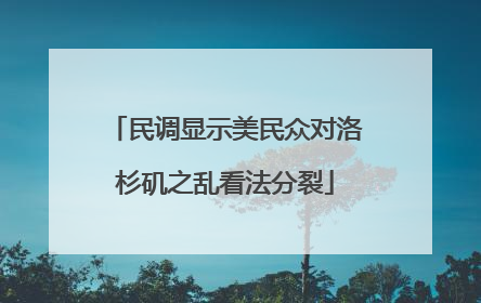 民调显示美民众对洛杉矶之乱看法分裂