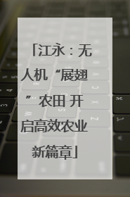 江永：无人机“展翅”农田 开启高效农业新篇章