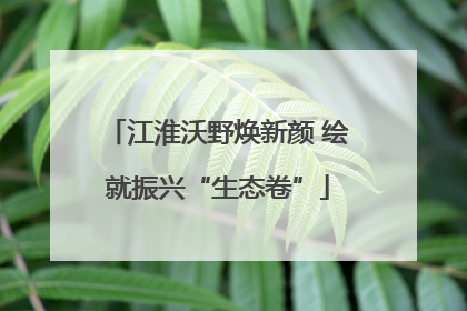 江淮沃野焕新颜 绘就振兴“生态卷”