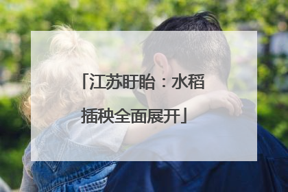 江苏盱眙：水稻插秧全面展开