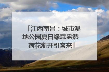 江西南昌：城市湿地公园夏日绿意盎然 荷花渐开引客来