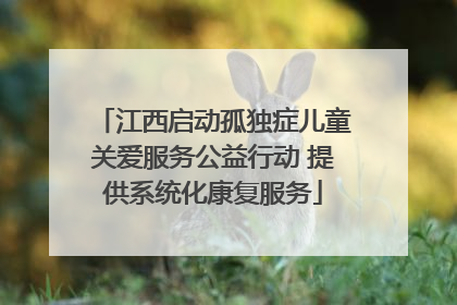 江西启动孤独症儿童关爱服务公益行动 提供系统化康复服务