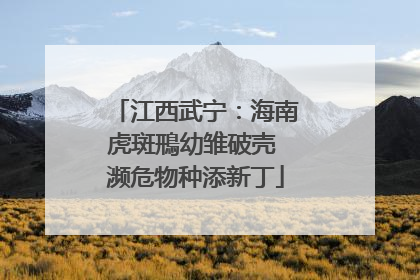 江西武宁：海南虎斑鳽幼雏破壳 濒危物种添新丁