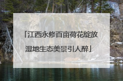 江西永修百亩荷花绽放 湿地生态美景引人醉