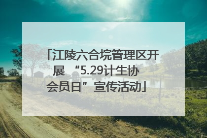 江陵六合垸管理区开展 “5.29计生协会员日”宣传活动