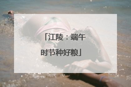 江陵：端午时节种好粮