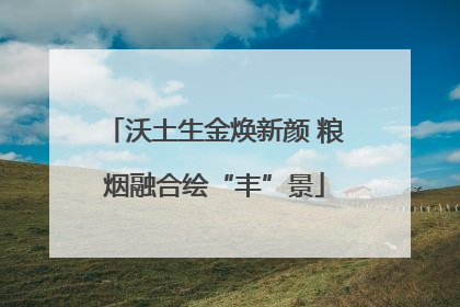 沃土生金焕新颜 粮烟融合绘“丰”景