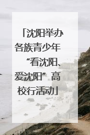 沈阳举办各族青少年“看沈阳、爱沈阳”高校行活动