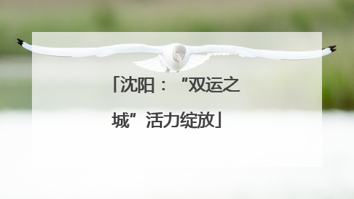 沈阳：“双运之城”活力绽放