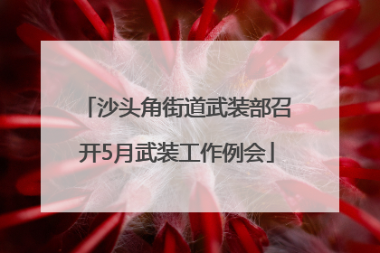 沙头角街道武装部召开5月武装工作例会