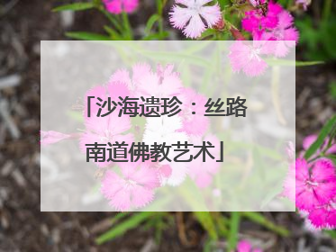 沙海遗珍：丝路南道佛教艺术