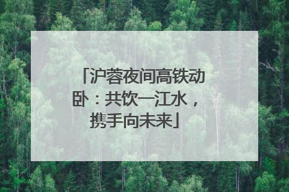 沪蓉夜间高铁动卧：共饮一江水，携手向未来