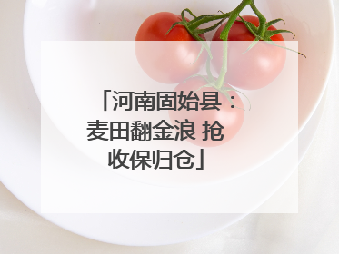 河南固始县：麦田翻金浪 抢收保归仓