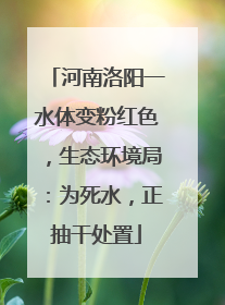 河南洛阳一水体变粉红色，生态环境局：为死水，正抽干处置