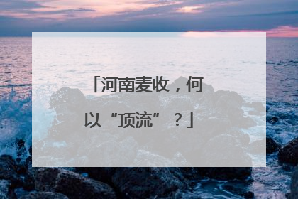 河南麦收，何以“顶流”？