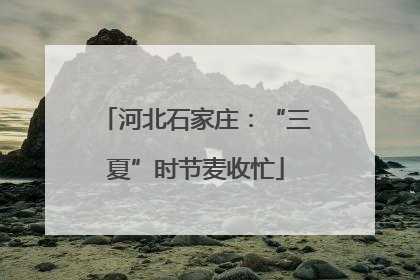 河北石家庄：“三夏”时节麦收忙